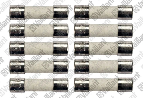 Vaillant WSS fusible (sachet de 10 pièces) vuw automax plus (vieux 251955)