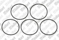 VAILLANT O-ring, (5 st.)