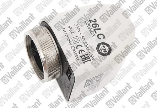 VAILLANT WSS Moteur