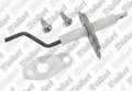 VAILLANT WSS Bougie, d'ionisation