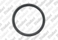 Vaillant WSS joint epdm (dn80 x 16) 80, 80/125 pp