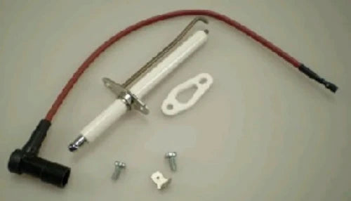 Daalderop WSS électrode d'allumage (câble + broche) Combifort