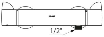 DELABIE Securitherm 2-gr. douchetherm onderuitg stand S-kopp M1/2" chroom