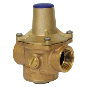 WATTS RDP JUNIOR 7BIS DN20