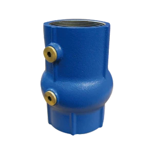 Watts EA253 clapet anti-retour FF 2 1/2 x 2 1/2 - fonte - agréé Belgaqua