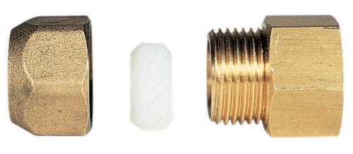 Watts Tecal raccord de transition droit FF 10 x 3/8 F