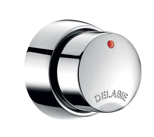 DELABIE TEMPOSOFT 2 douche M1/2" rob. pr panneau 7 mm tempo. ~30sec