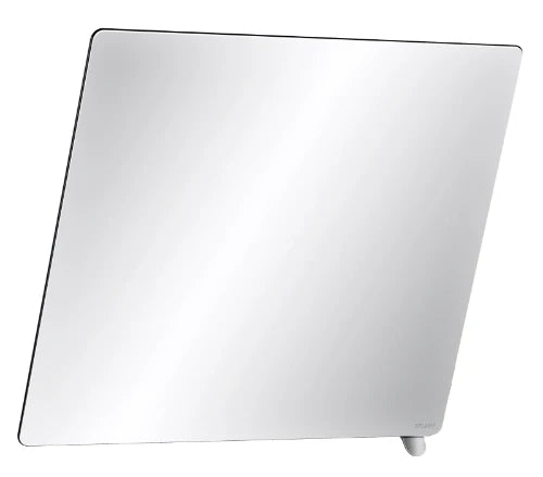 DELABIE Miroir inclinable 600x500 avec poignée poli satiné
