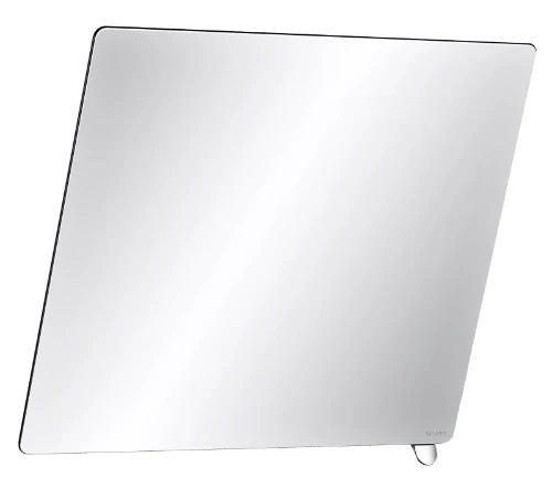DELABIE Miroir inclinable 600x500 avec poignée poli brillant