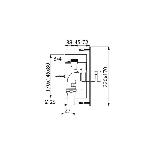 DELABIE TEMPOFLUX WC M3/4" rob. enc/plaq. Inox 220x170 tempo ~7sec