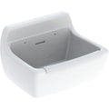 Geberit 300 Basic Norma déversoir avec pare-choc 500 x 380 x 340 mm - blanc - avec trop-plein