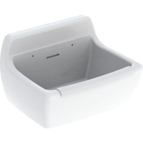 Geberit 300 Basic Norma déversoir avec pare-choc 500 x 380 x 340 mm - blanc - avec trop-plein