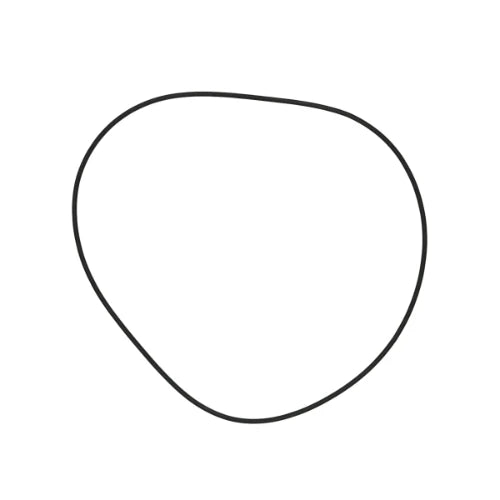 GRUNDFOS WSS O-ring EPDM 221.84x3,53 /spare
