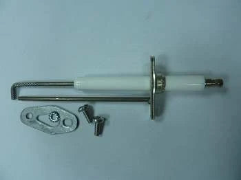 Remeha WSS allumage- & ionisation-électrode gas 310 eco