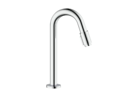 Procasa Vivo robinet eau froide - bec 270 mm - chroom