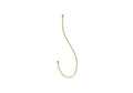 Procasa Vivo flexible de douche 1/2 x 1500 mm - Brushed Gold PVD - or brossé PVD