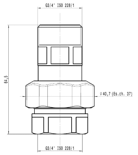 Caleffi 558 vase d'expansion raccord MF 3/4 x 3/4