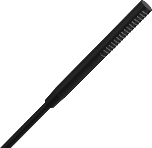 Hansgrohe Pulsify S 100 douchette en stick 1jet écosmart - noir mat
