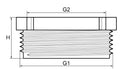 WALRAVEN McAlpine reductie 1" Fx5/4" M pp