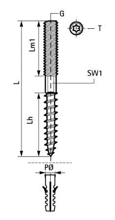 Walraven BIS vis à bois M8 x 100 mm - avec tête Torx
