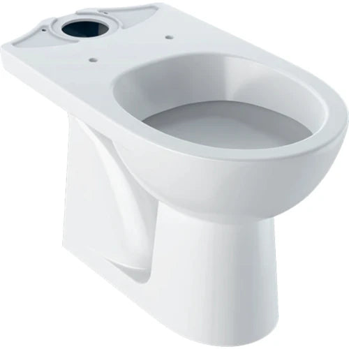 Geberit Selnova cuvette à poser sortie AO - blanc - à fond creux (sans réservoir)