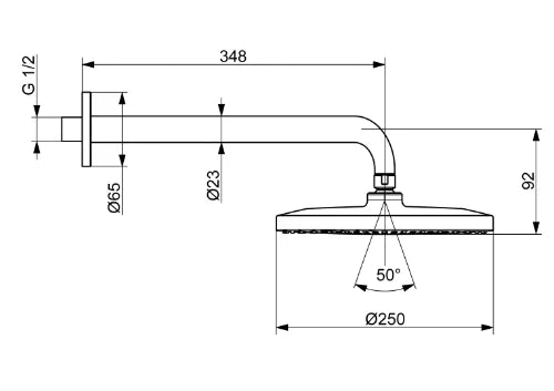 Hansa HansaViva douche de pluie de tête 250 mm - modèle mural - chromé