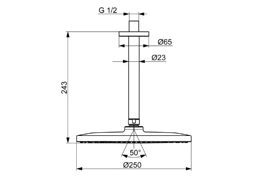 Hansa HansaViva douche de pluie de tête 250 mm - plafondmodel - chromé