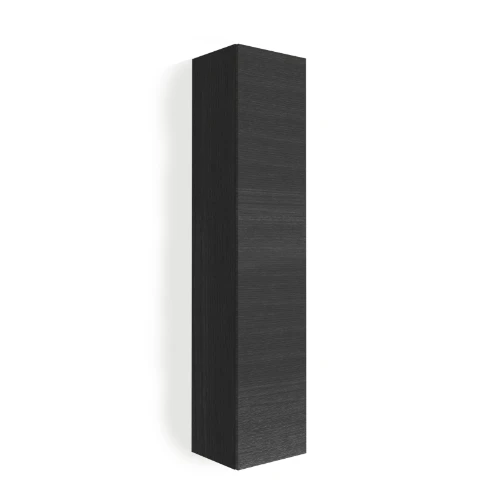 Procasa Kivu colonne avec 1 porte réversible 1690 x 350 x 330 mm - raven oak