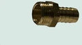 Messingfit embout pour tuyau mm 1/2 x 10 mm - pour gaz/water
