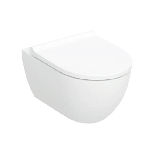 Geberit Acanto pack cuvette suspendue turboflush 530 x 355 mm (cuvette suspendue avec abbatent asym.ount) - blanc