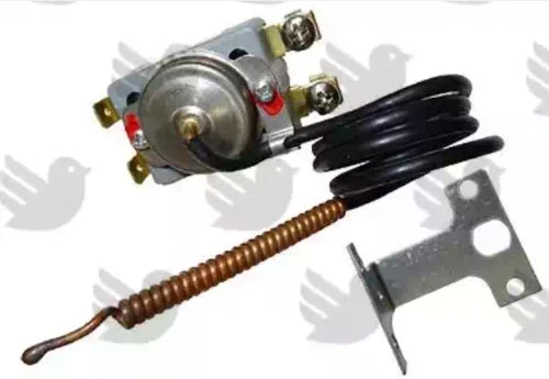 Bulex WSS limiteur température