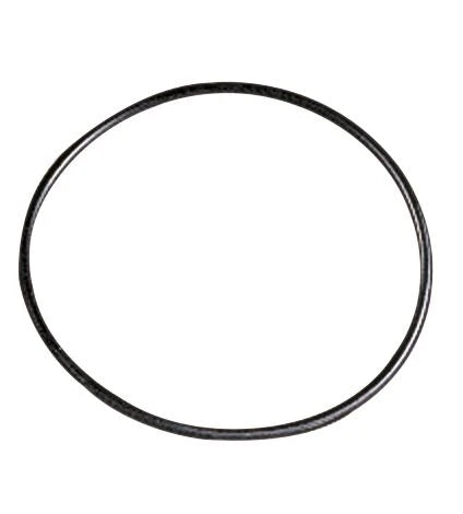 WATTS Joint torique pour filtre RG/OR