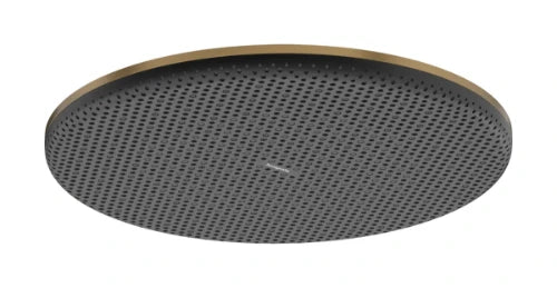 Hansgrohe Raindance Alive S douche de tête 300 mm 1jet - Brushed Bronze